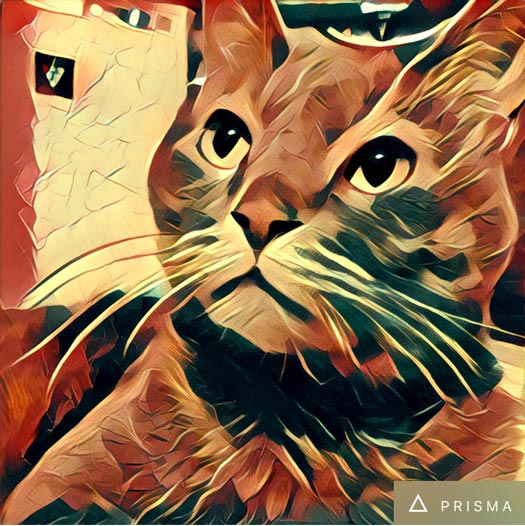 Snsで大人気 写真をイラスト調にする Prisma マジョリ画 がポスターにしたい完成度でスゴイ Mitok ミトク