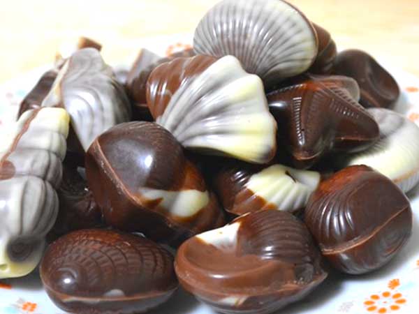 業務スーパーのベルギー輸入チョコ シーシェル のおすすめ度は 気になる量や味をチェック Mitok ミトク