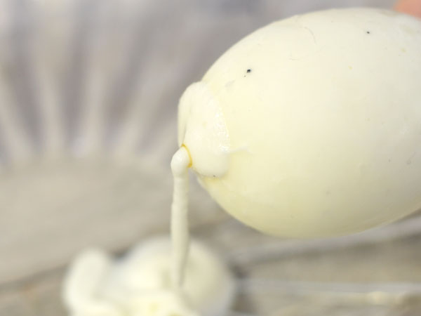 安心する味とカタチ おっぱいアイスミルク は揉まずに素直に吸って食べてほしい Mitok ミトク