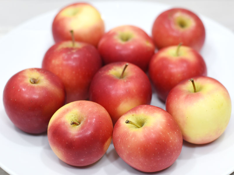 コストコのプチサイズりんご ロキットアップル はお弁当にも便利なさわやかジューシー系 Mitok ミトク